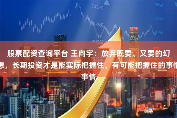 股票配资查询平台 王向宇：放弃既要、又要的幻想，长期投资才是能实际把握住、有可能把握住的事情