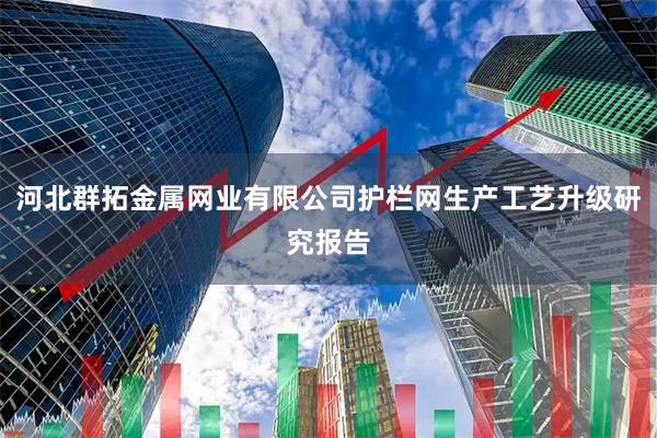 河北群拓金属网业有限公司护栏网生产工艺升级研究报告