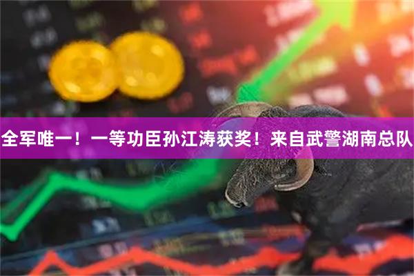 全军唯一！一等功臣孙江涛获奖！来自武警湖南总队