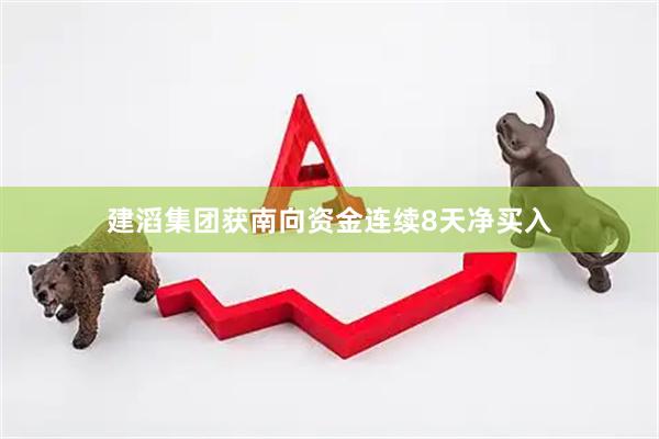 建滔集团获南向资金连续8天净买入