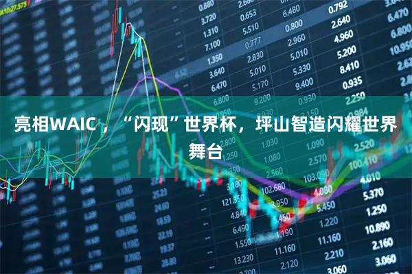 亮相WAIC ，“闪现”世界杯，坪山智造闪耀世界舞台