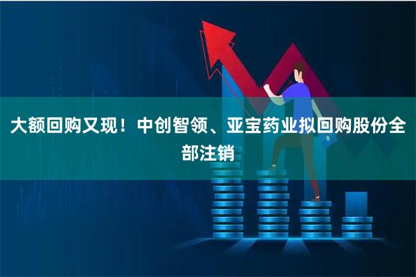 大额回购又现！中创智领、亚宝药业拟回购股份全部注销